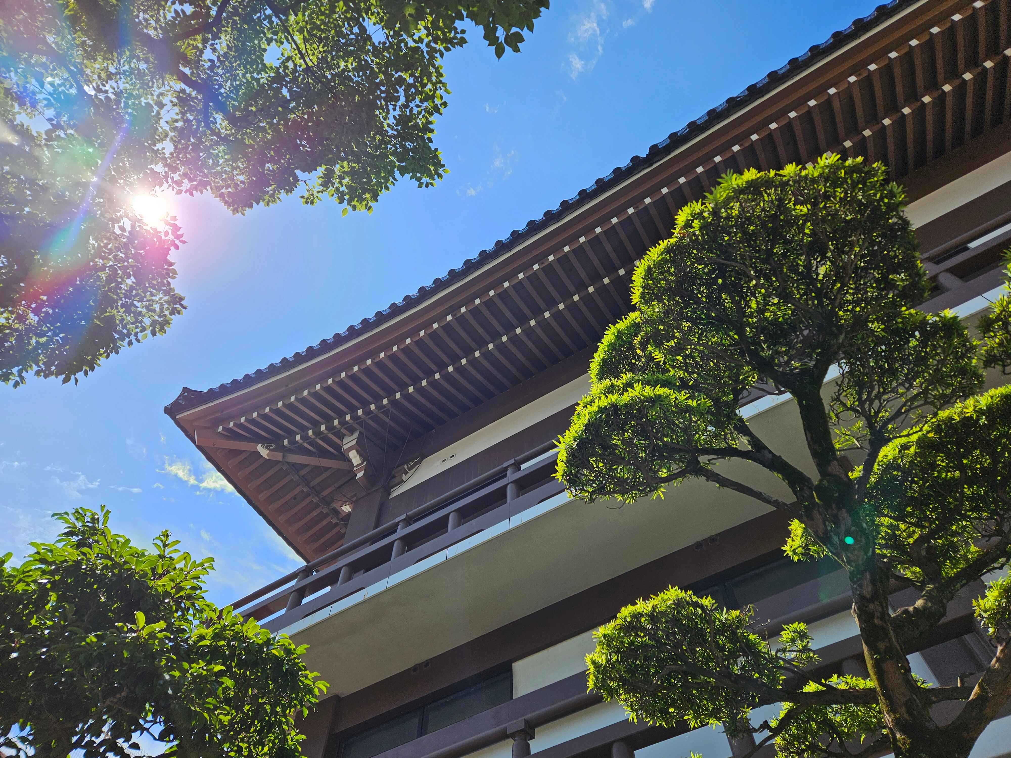 Photo from June 1, 2024