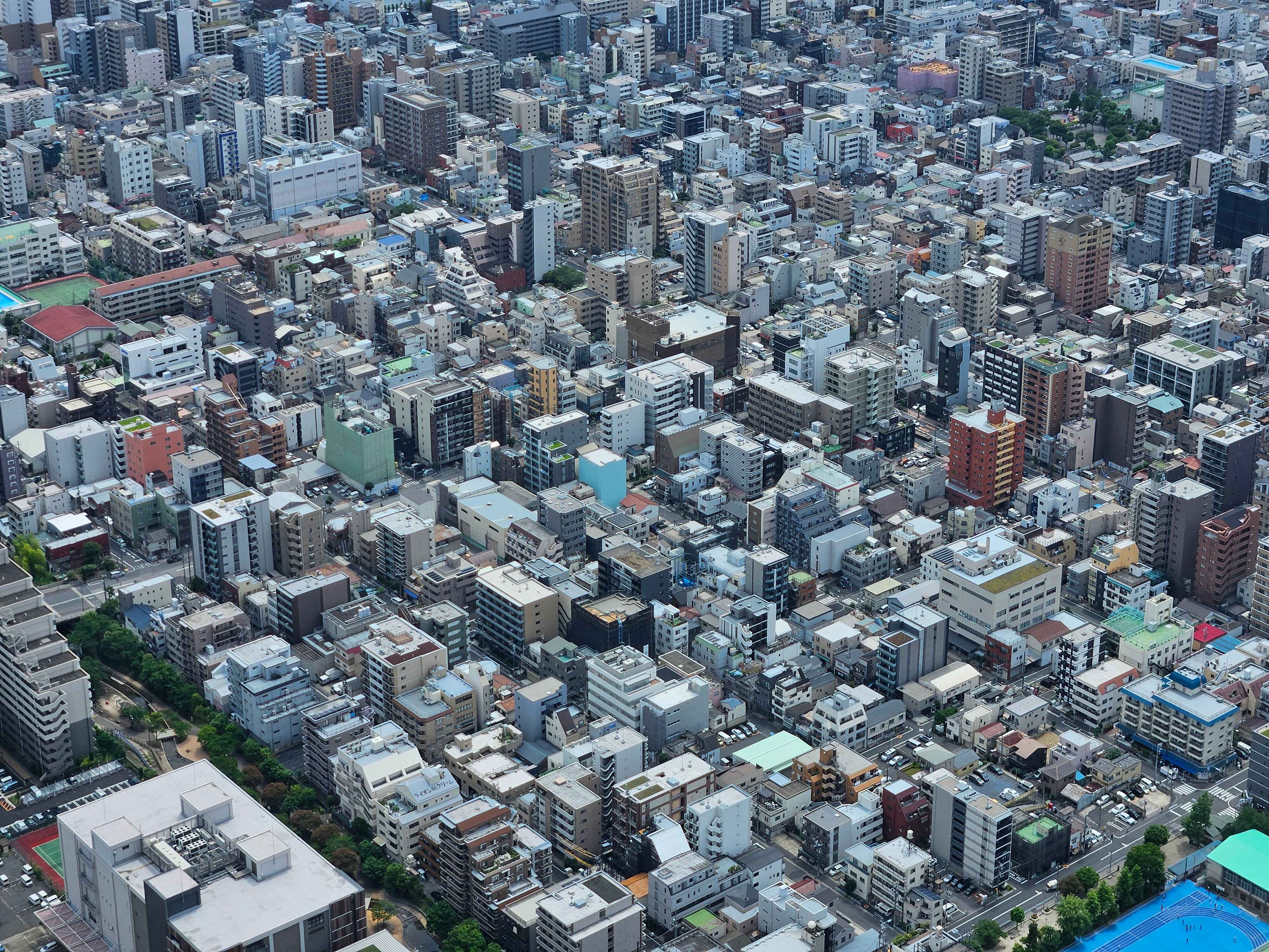 Photo from June 7, 2024