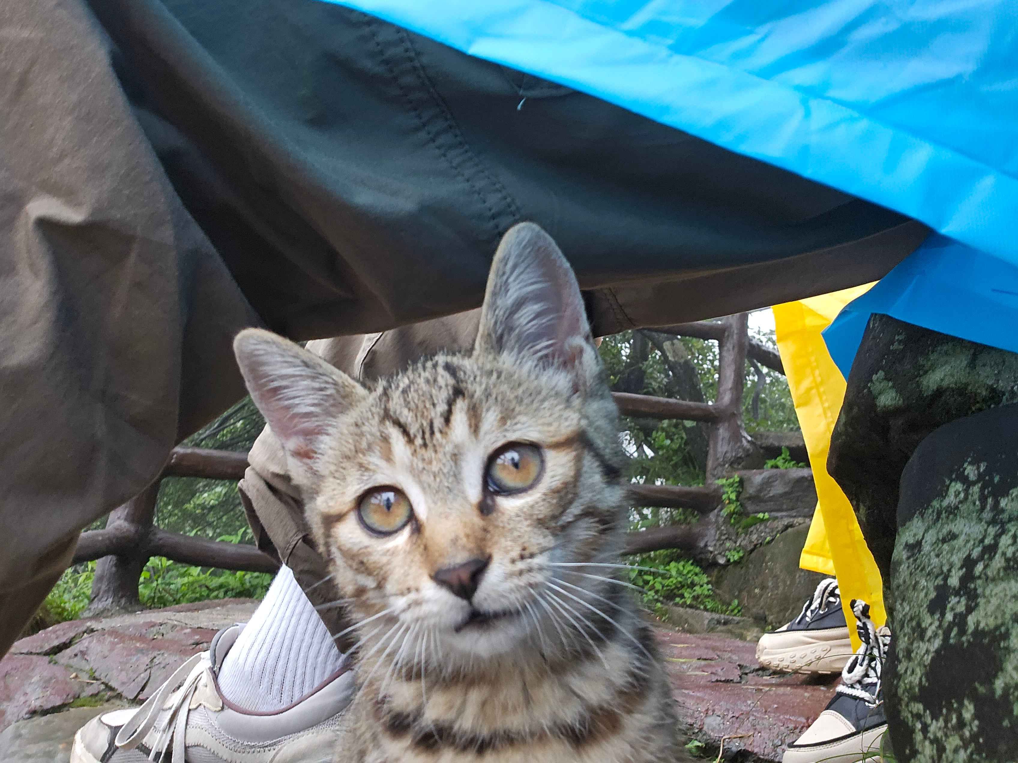 Photo from June 22, 2024