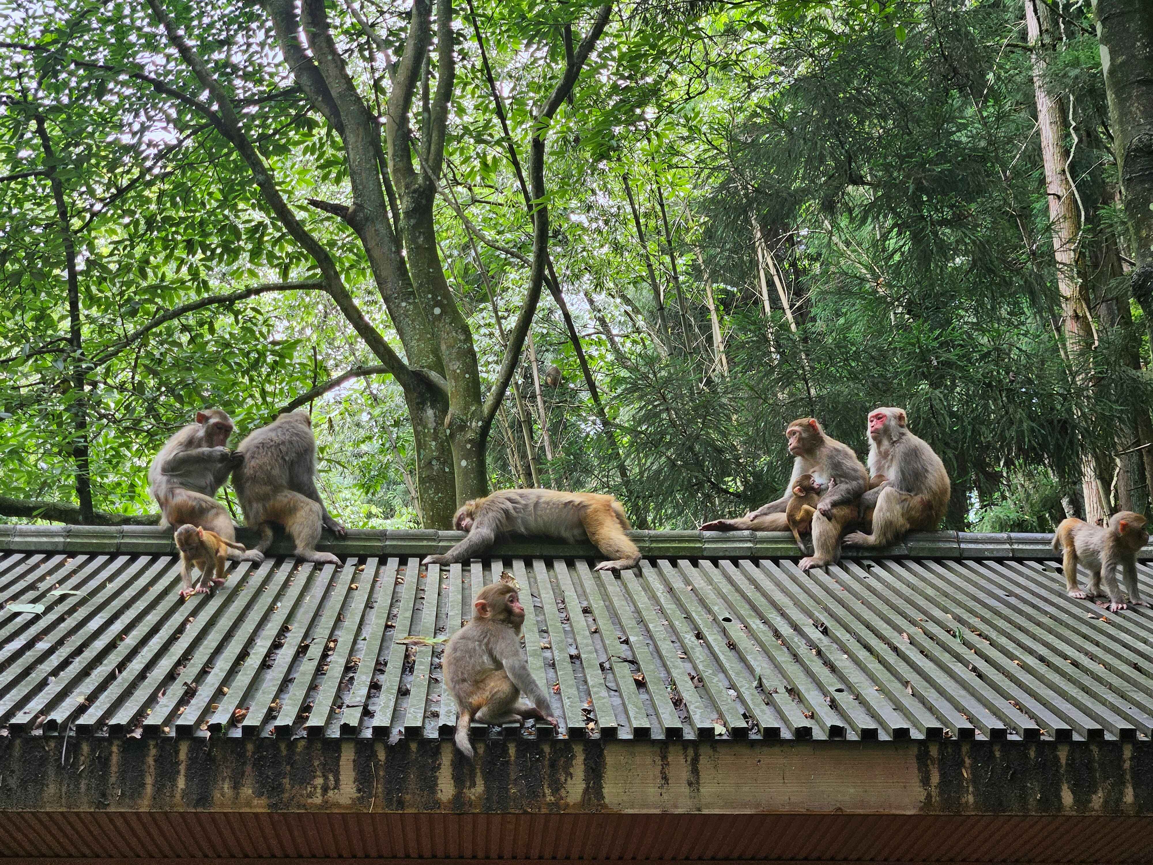 Photo from June 23, 2024